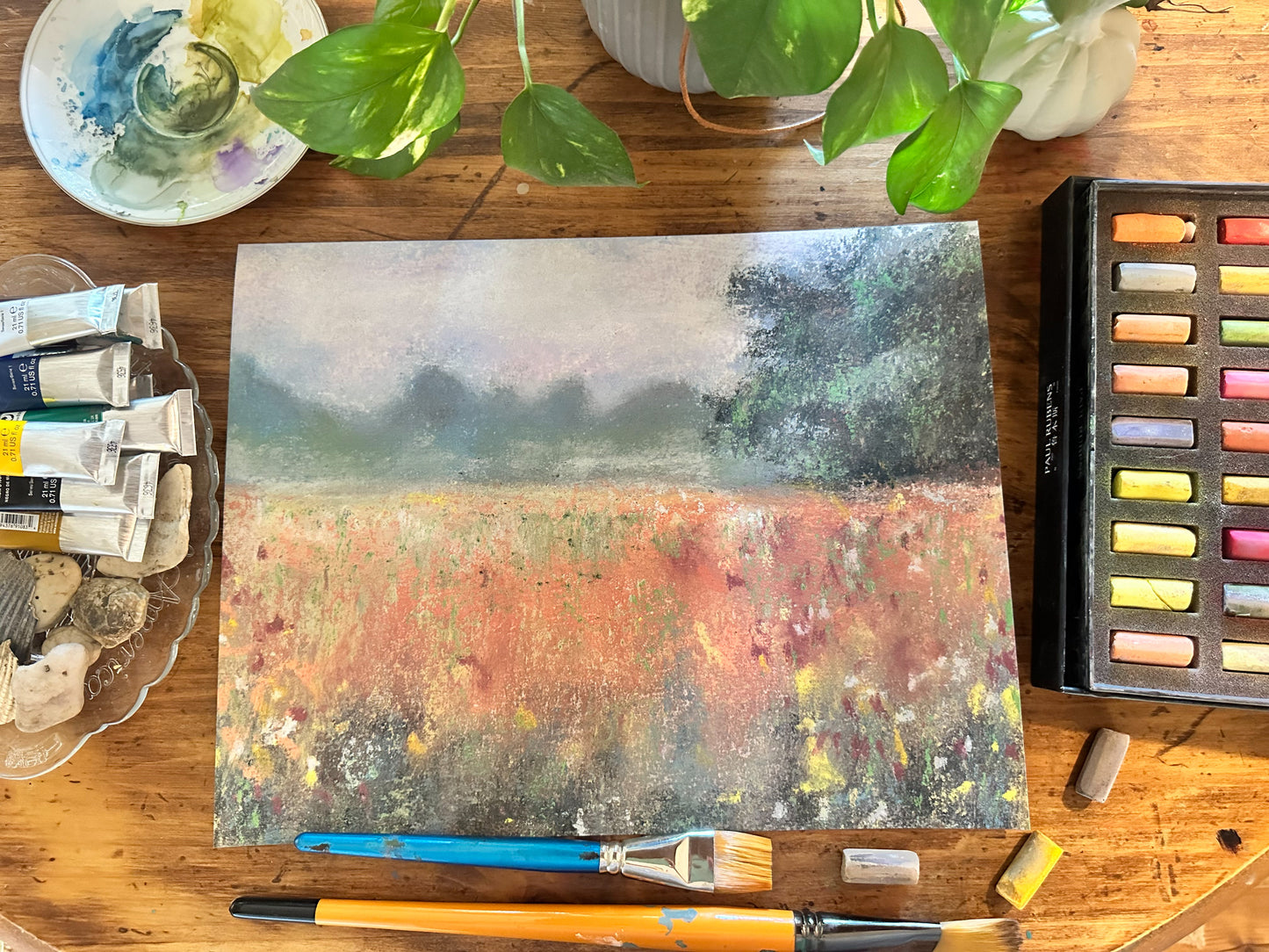 Wild Flowers in Fall